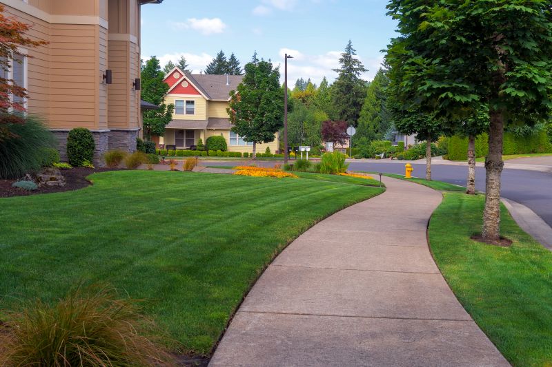 Sidewalk Construction in Fort Collins, CO