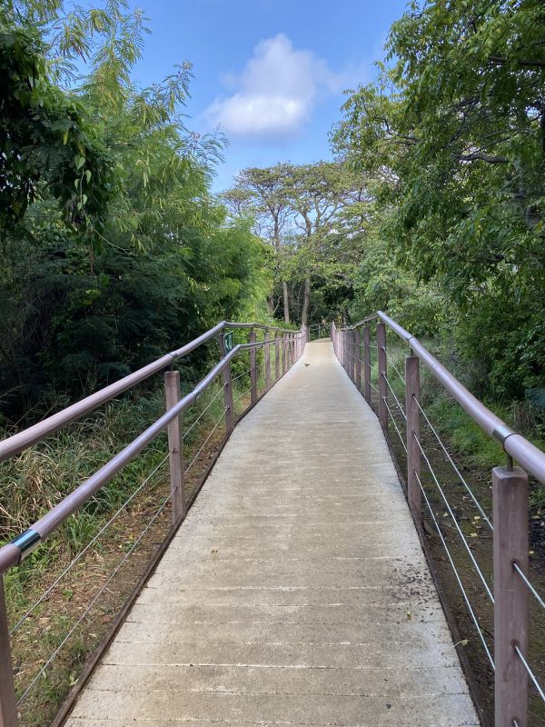 Walkway Installation Cost Guide — Cost of Walkway Installation